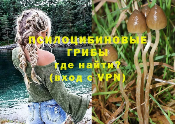 гидра Алзамай