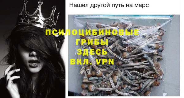 хмурый Абинск