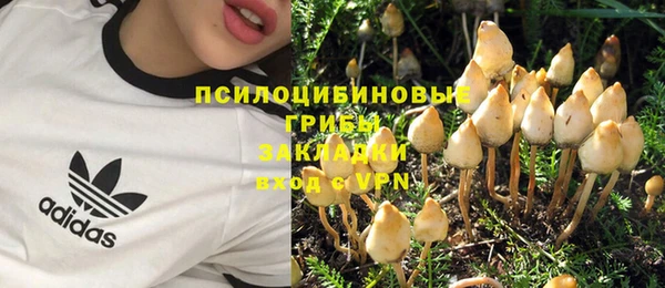 хмурый Абинск