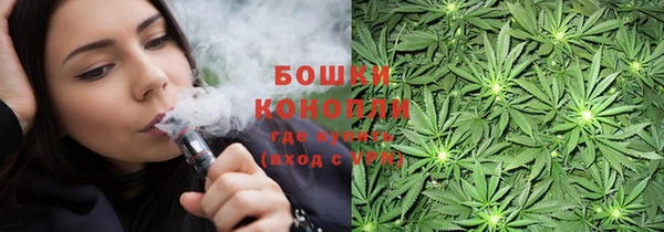 спайс Алексин