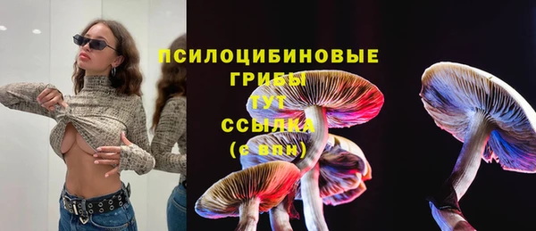 хмурый Абинск