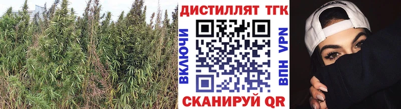 как найти закладки  Моздок  маркетплейс формула  ТГК Wax 